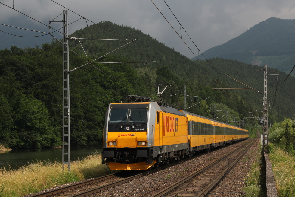 386 202-6
