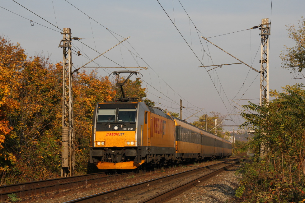 386 202-6