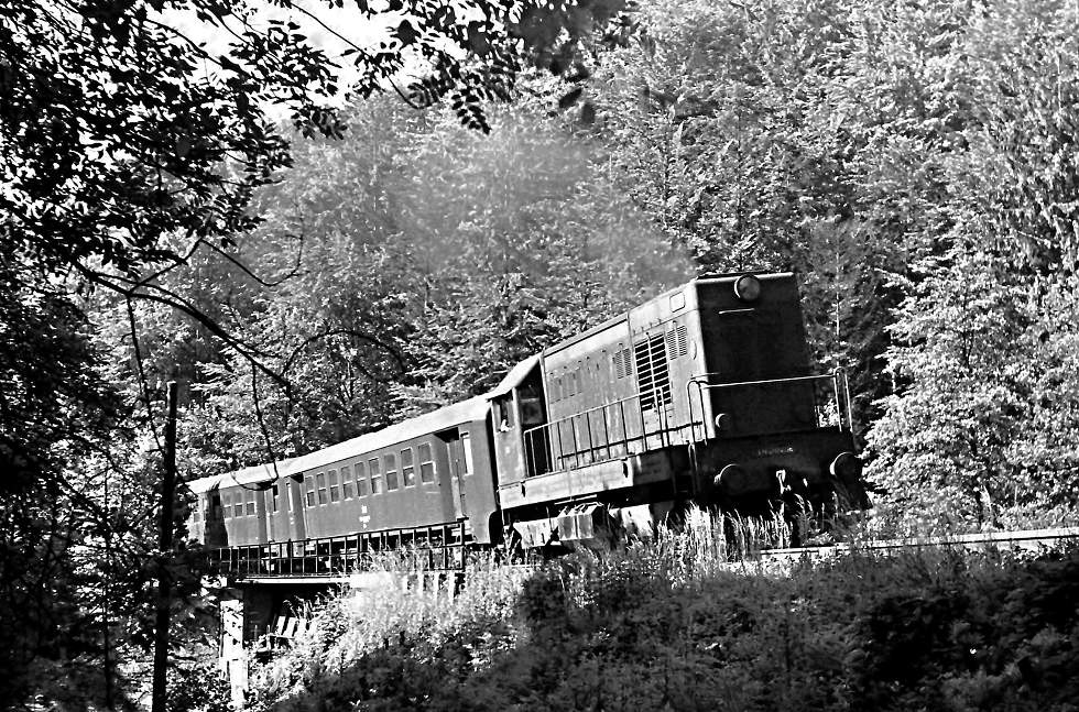 T458.1196