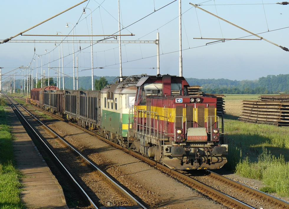 731 026-1