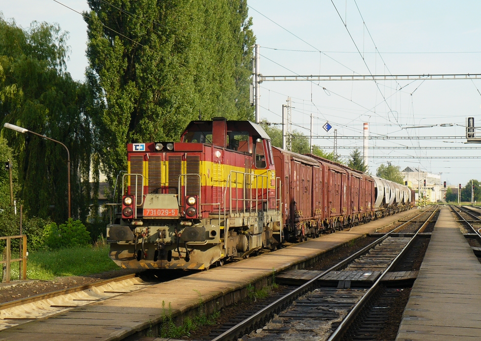 731 029-5
