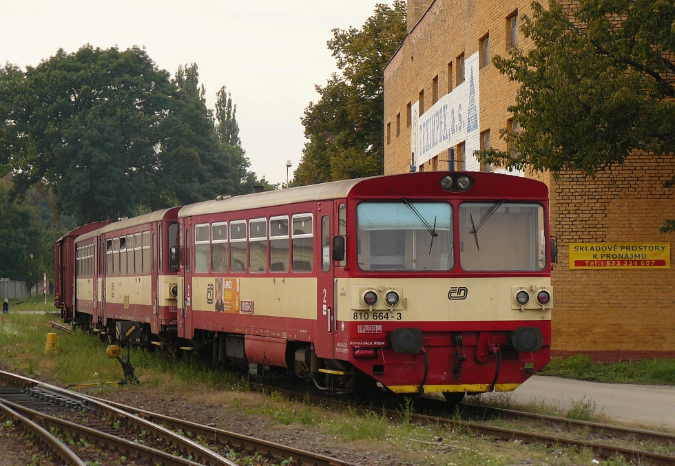 810 664-3