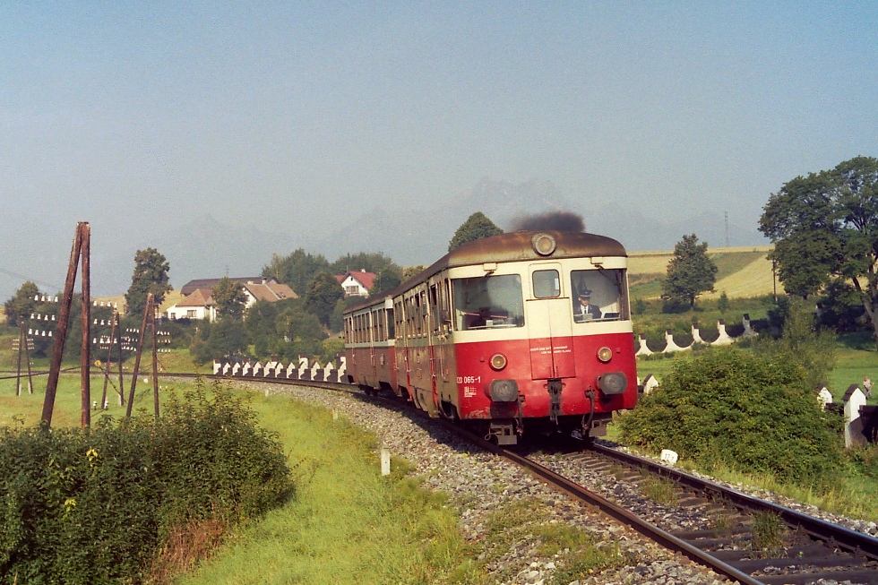 820 065-1