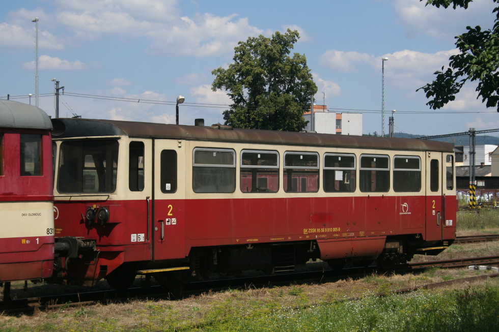 810 005-9