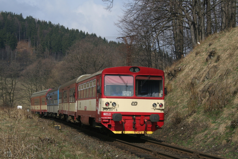 810 291-5