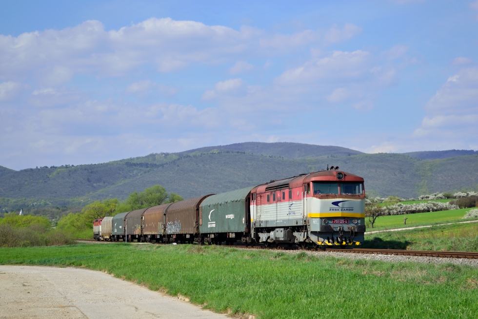 751 125-6