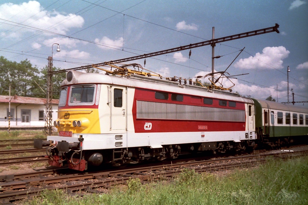 242 256-6