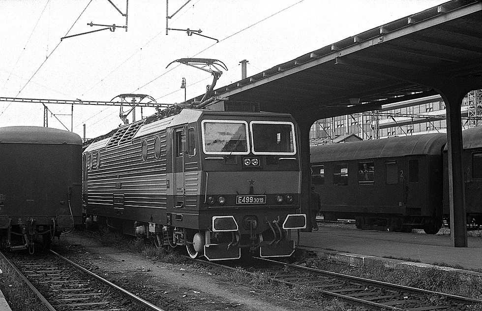 E499.3019