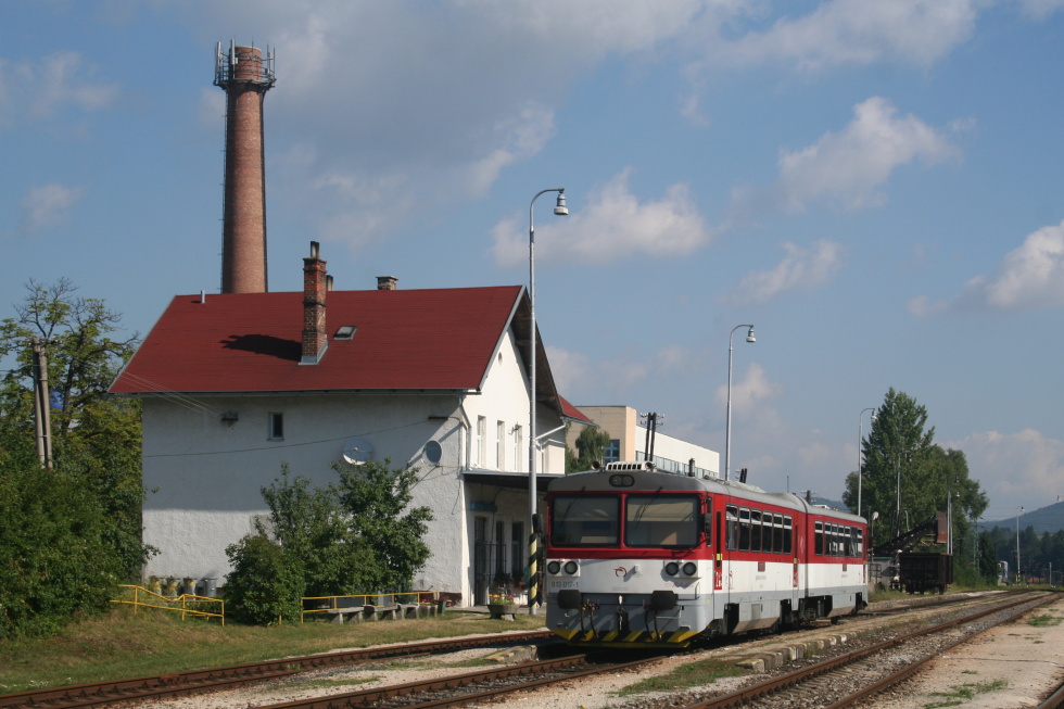 813 017-5