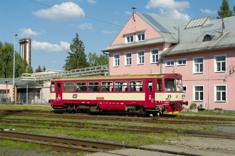 810 290-7