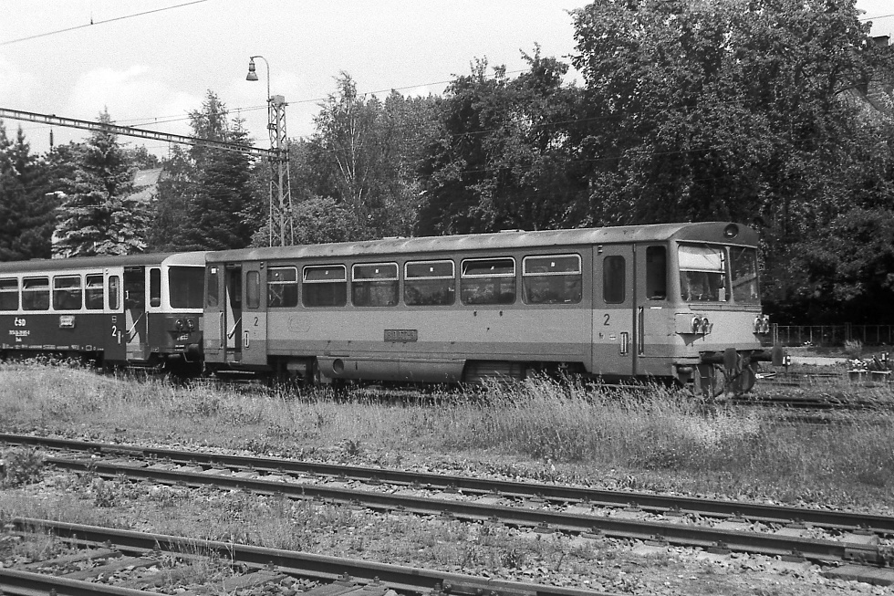 810 077-8