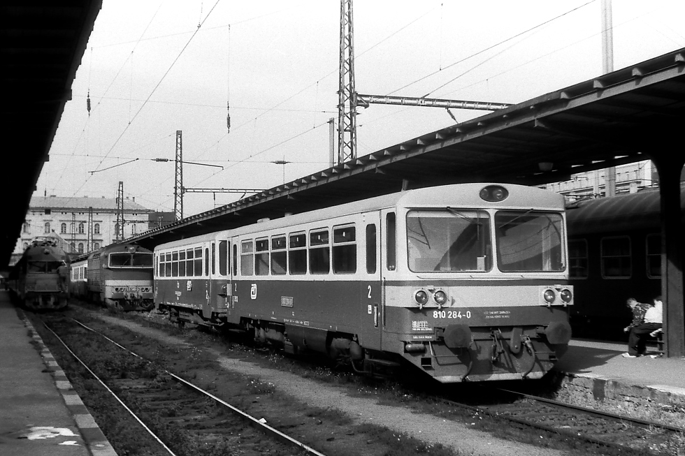 810 284-0