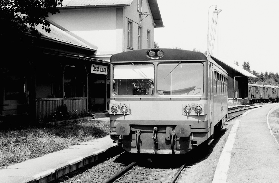 810 382-2