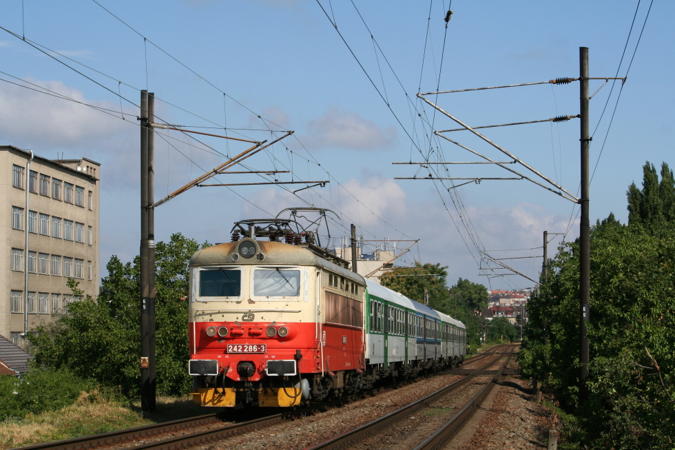 242 286-3