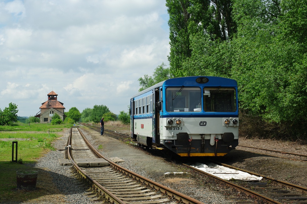 810 313-7