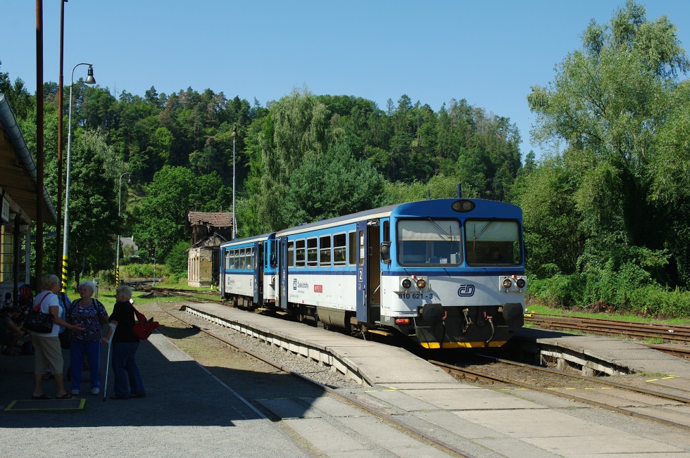 810 621-3