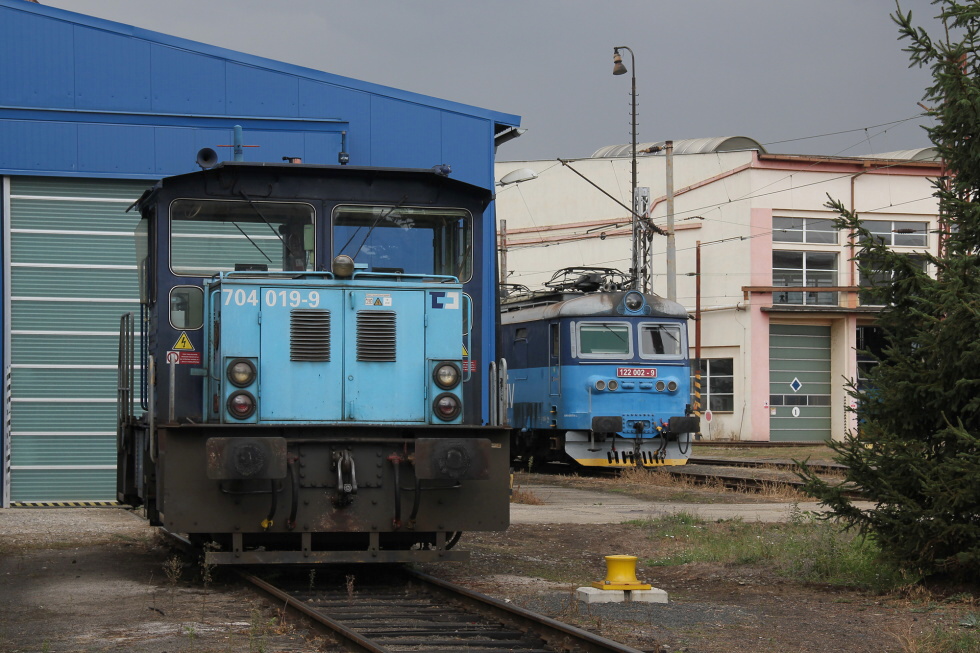 704 019-9