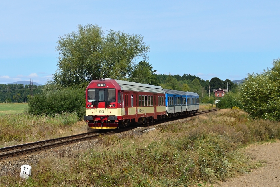 843 017-5
