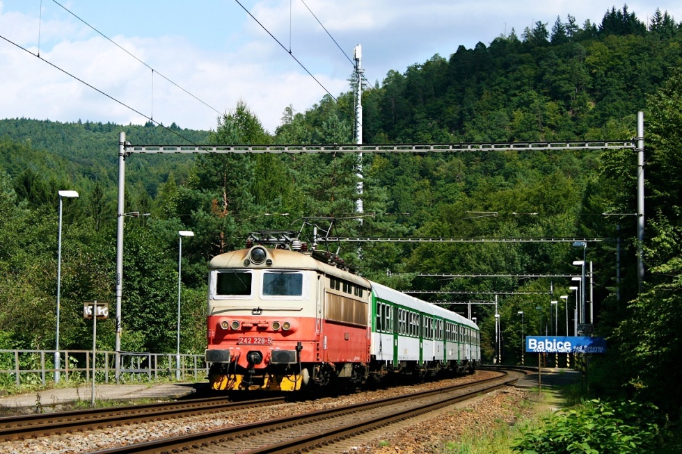 242 228-5