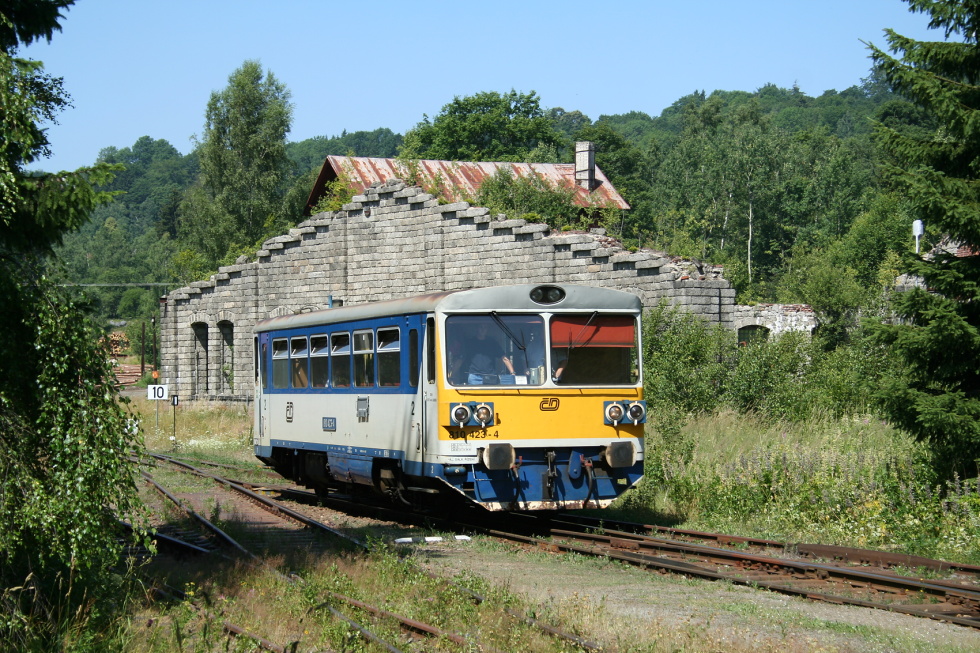 810 423-7
