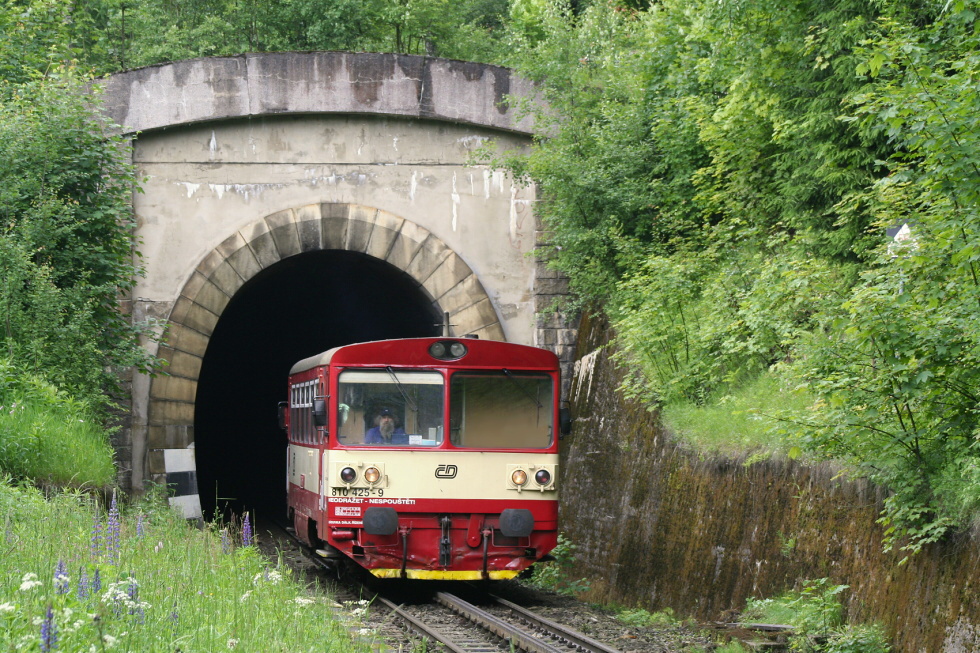 810 425-9
