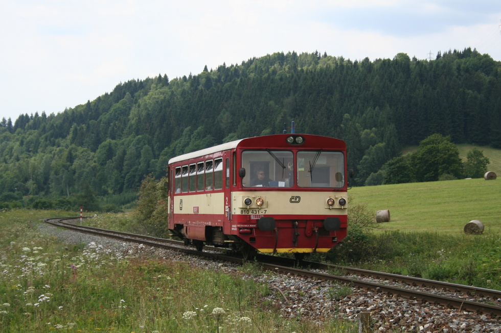 810 431-7