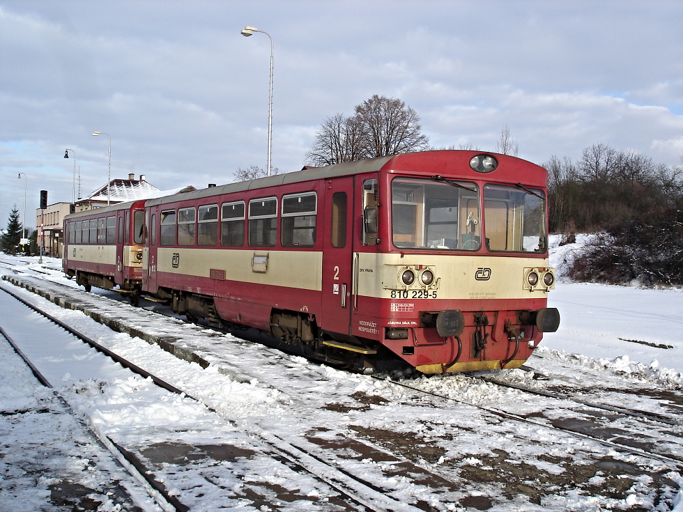 810 229-5