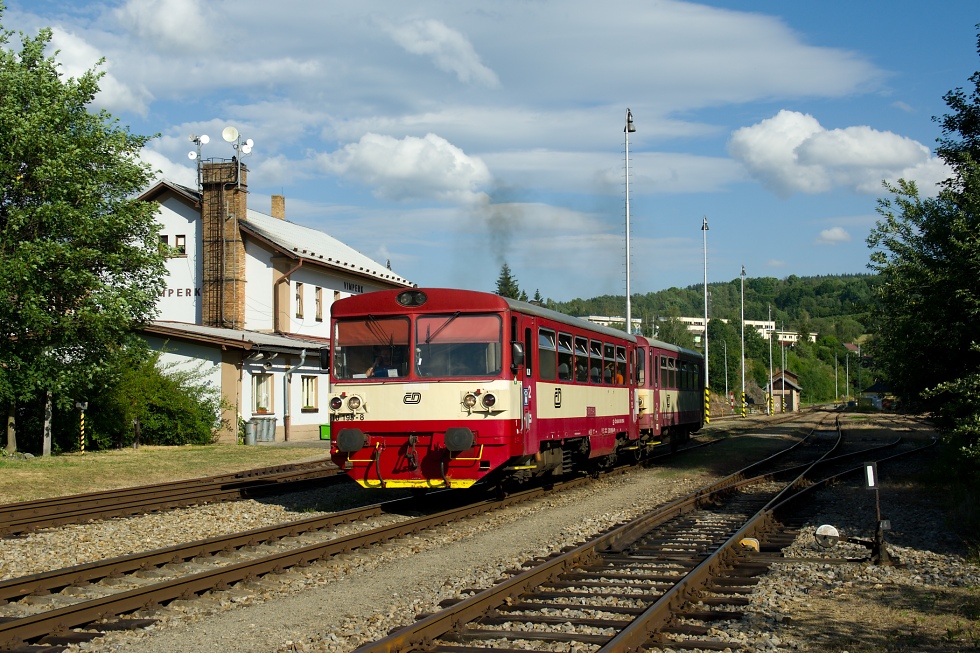810 195-8