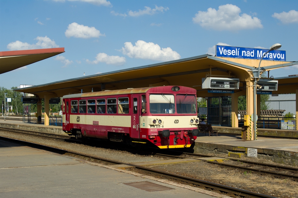 810 223-8