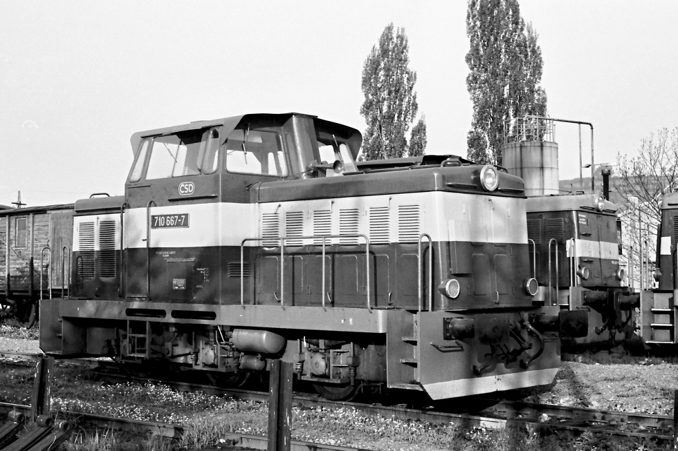 710 667-7