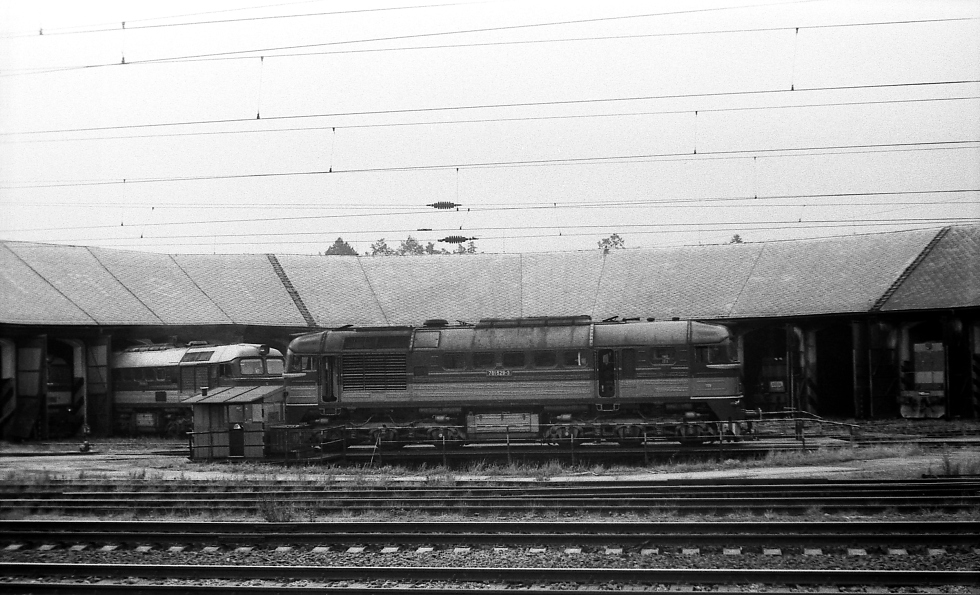 781 529-3