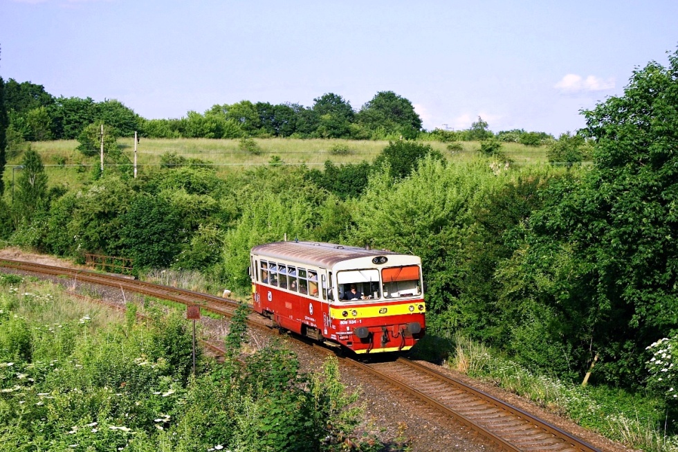 809 534-1