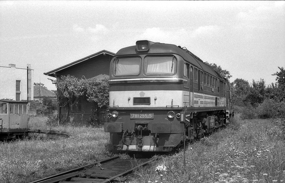 781 255-5