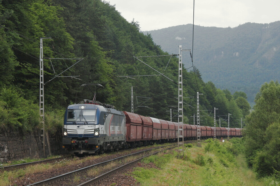 383 204-5
