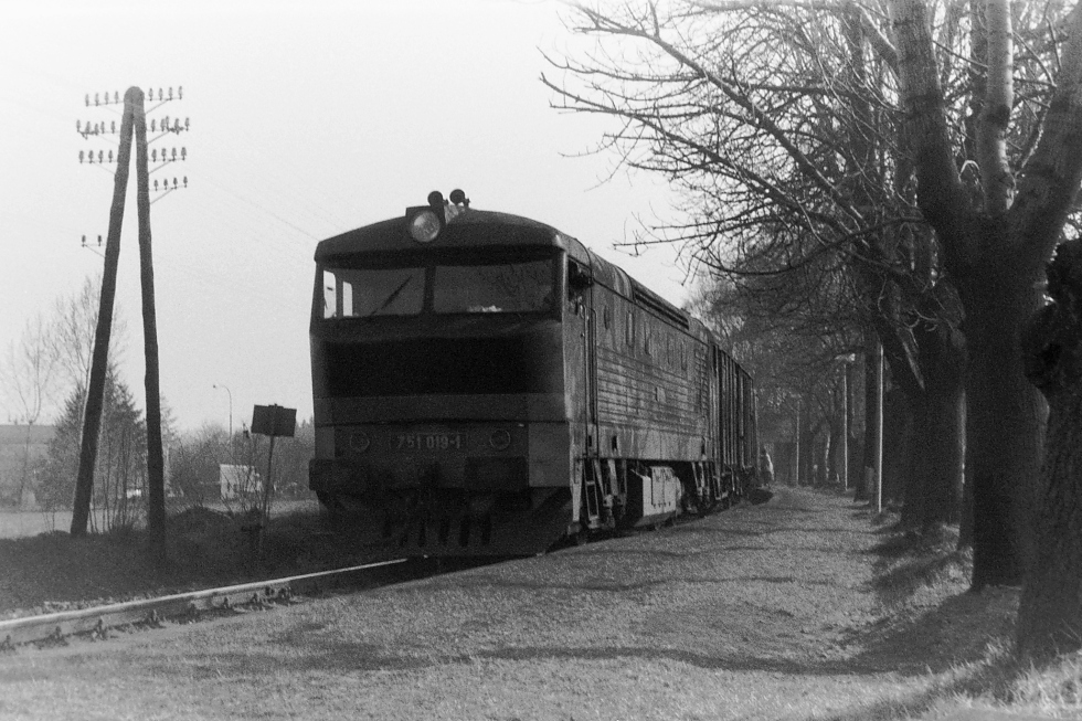 751 019-1