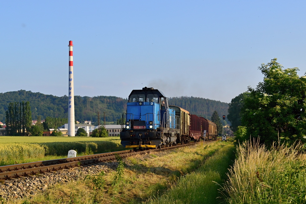 731 003-0