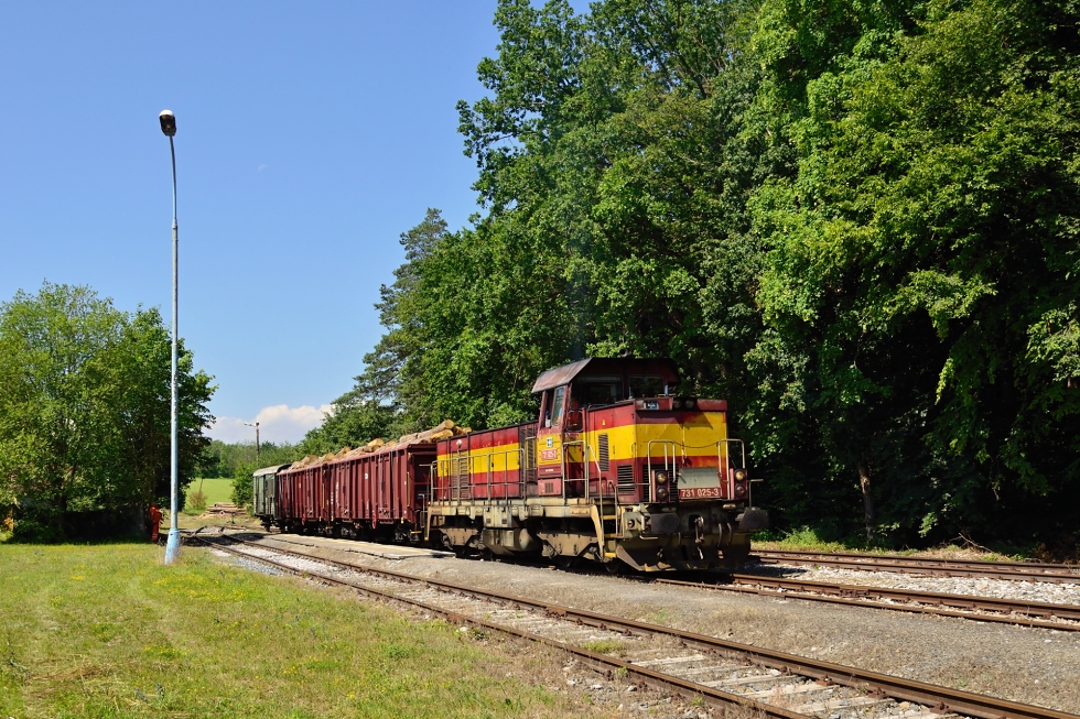 731 025-3