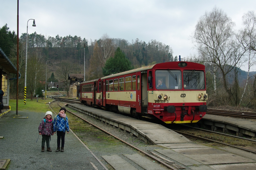 810 334-3
