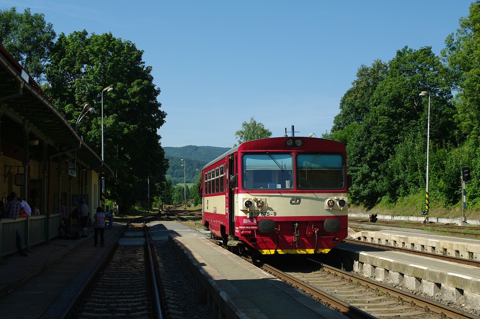 810 675-9