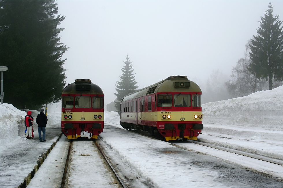 854 202-9