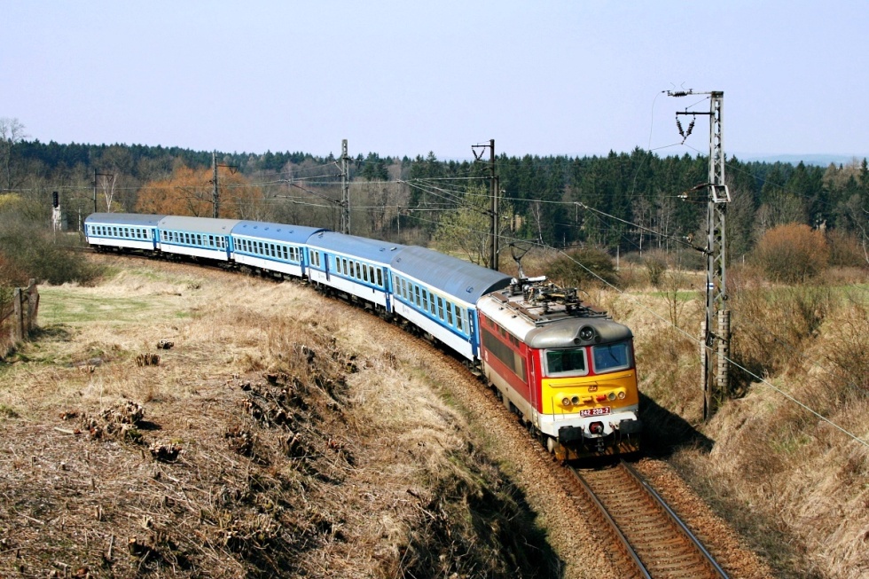 242 239-2