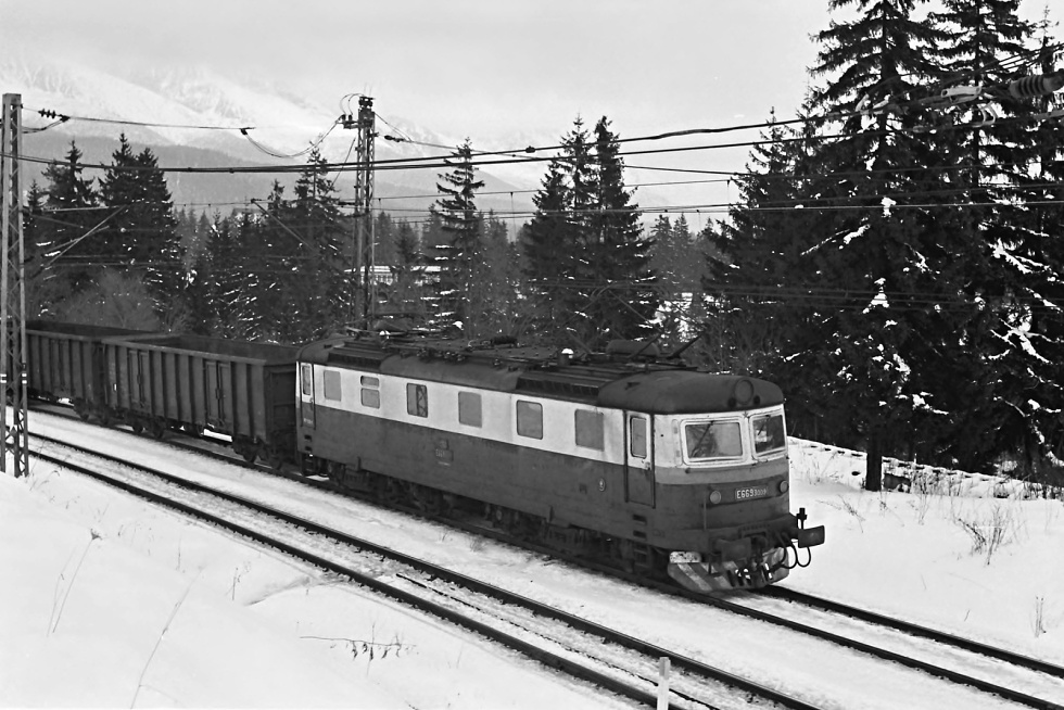 E669.3009