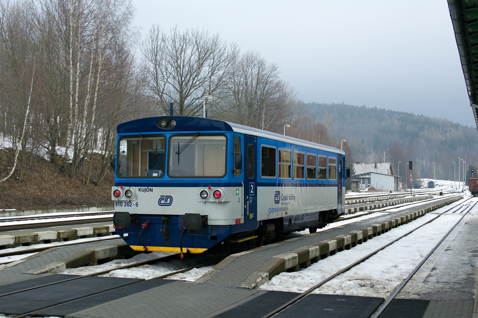 810 262-6