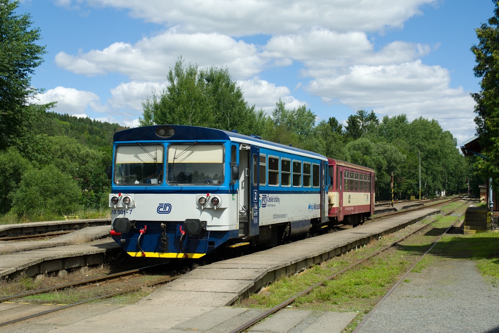 810 501-7
