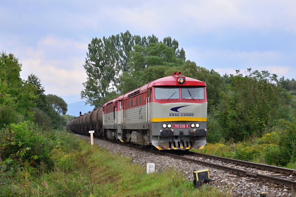 751 036-5