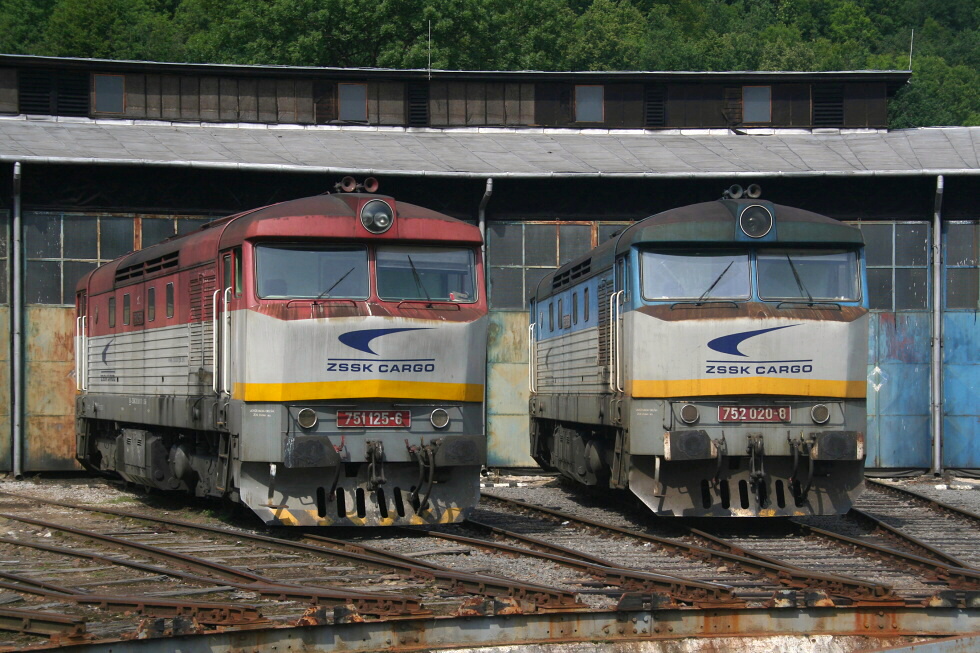 751 125-6