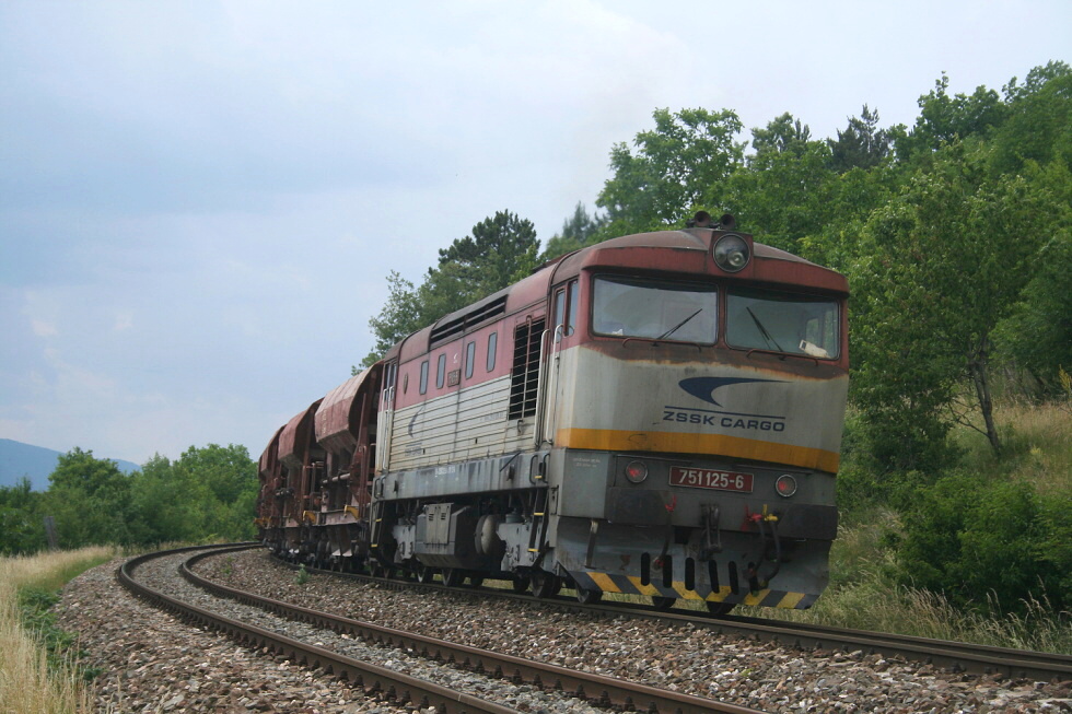 751 125-6