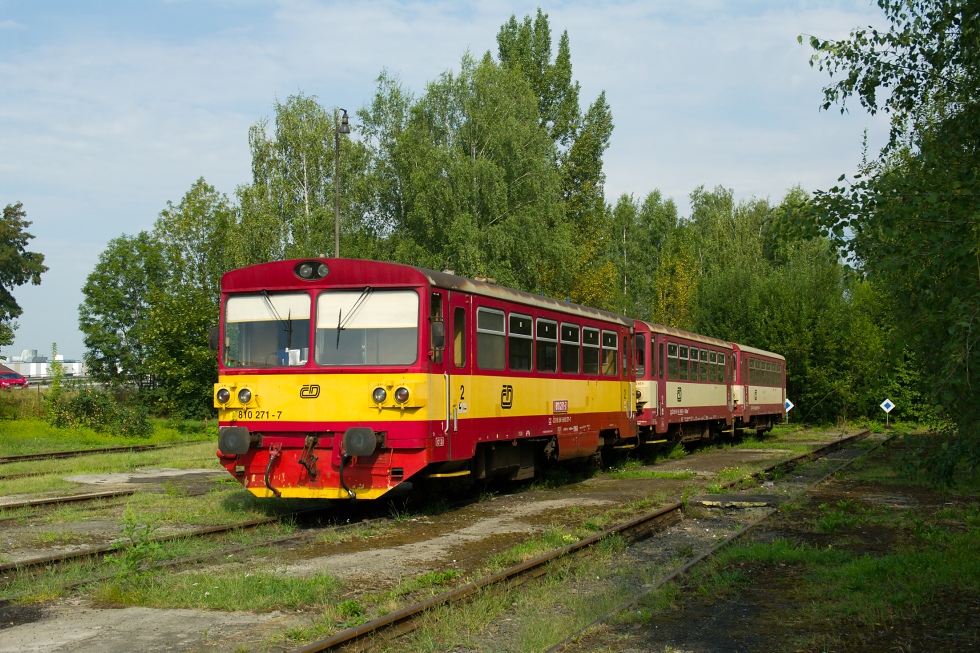 810 271-7