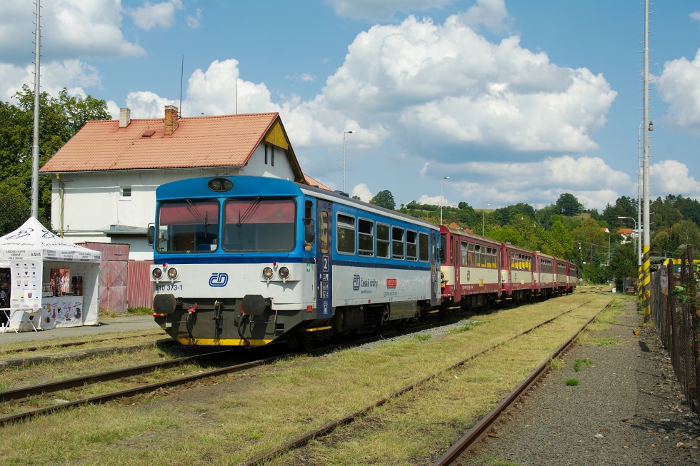 810 373-1