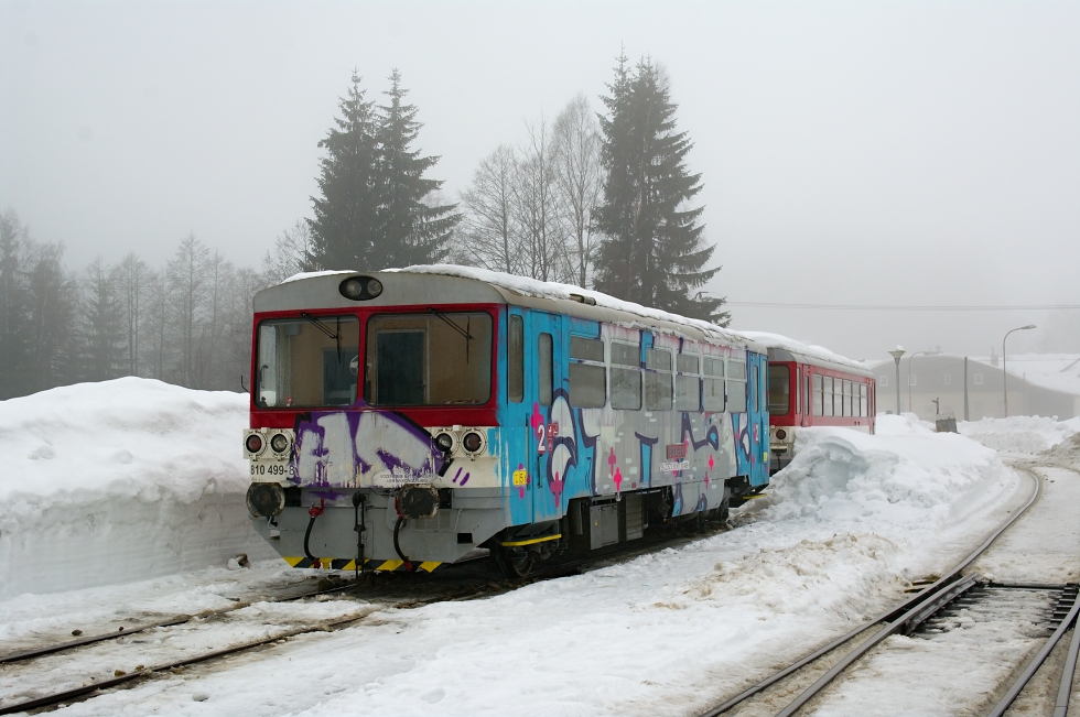 810 499-4